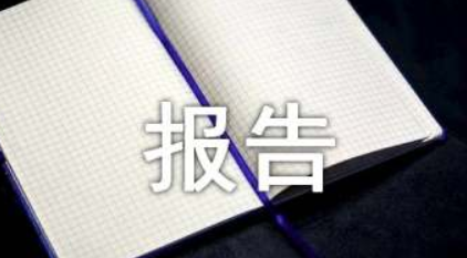 行业分析报告