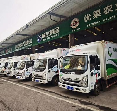 全球农产品冷链物流行业分析