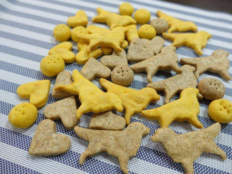 中国宠物食品市场概览