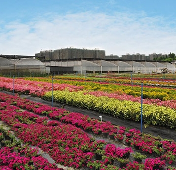 中国花卉市场全景分析