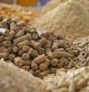 全球及中国饲料行业发展现状及前景分析